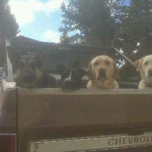 Meet your Posher, Ryan